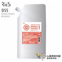 Ric'S リックス DSS シャイニングストレート 400g メガハード 1剤 医薬部外品