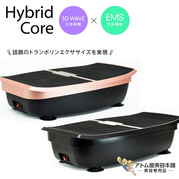 送料無料！EMS振動ボード ハイブリッドコア HYBRID CORE（HC-BB30）振動EMS 振動ボード 体幹コアトレーニング 体幹エクササイズ インナーマッスル ヘルスケア トランポリン ぶるぶるマシーン 有酸素運動 無酸素運動 宅トレ 相乗効果 立体振動 電気刺激