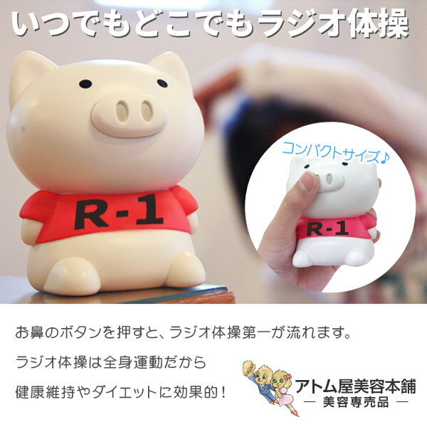 体操ブーブー 第1 V1（ラジオ体操 第1）R-1 タイソーブーブー 全身運動 健康維持 ダイエット インテリア おしゃれ かわいい 可愛い たいそうぶーぶー ハシートップイン Hashy Top-in 単四電池使用のサムネイル