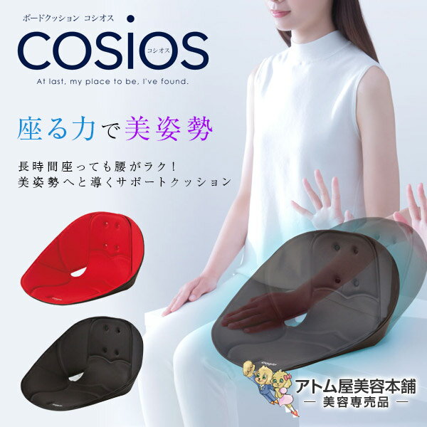 美姿勢クッション ボードクッション cosios（コシオス）クッション 骨盤矯正クッション 姿勢サポートクッション ボード型クッション 姿勢 腰 背筋 サポート 腰痛 肩こり 凝り コリ 猫背 対策 予防 軽量 美姿勢 ニーズ