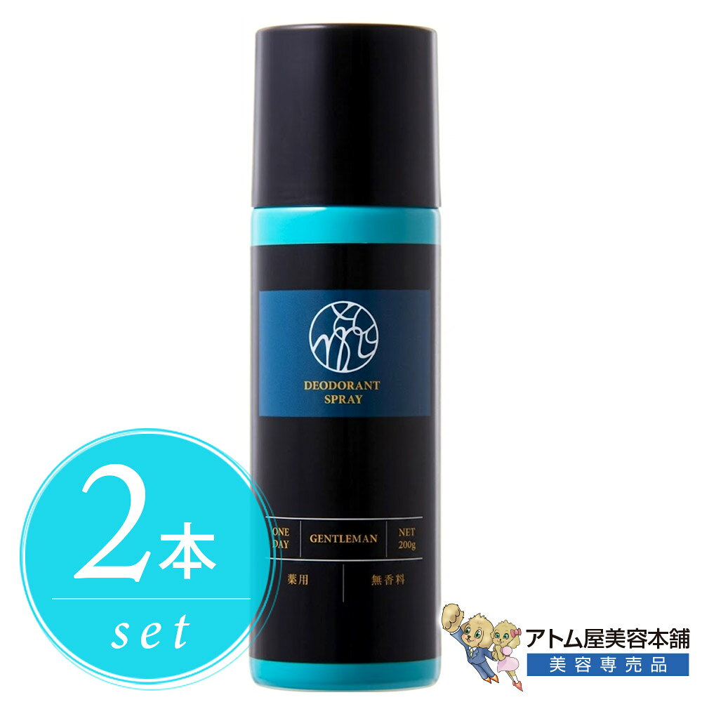 薬用デオドラントスプレー SO 200g 無香料 2本セット！（医薬部外品）制汗 わきが 腋臭 皮膚汗臭 体臭予防 汗対策 サラサラ ニオイケア べたつき防止 メンズ デオドラント エチケット習慣 スポーツ後 身だしなみ パウダー配合 サラサラ 大容量 日理 ニチリ