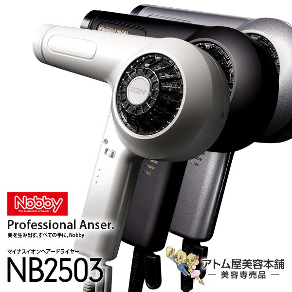 【あす楽！送料無料！】Nobby（ノビー）NB2503 マイナスイオン ヘアードライヤー【ドライヤー テスコム ノビィ プロ用 高性能フィルター マイナスイオンユニット搭載】