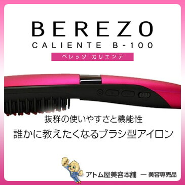 面接官 特技はヘアアイロン ブラシとありますが
