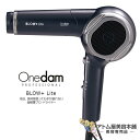 【送料無料！】ワンダム ドライヤー BLOW Lite ABD-301＜超軽量プロ ドライヤー＞【ヘアドライヤー ヘアードライヤー 軽量 省エネ 業務用 プロ用 プロ仕様 サロン専売 美容専売 サロン 美容室 速乾ドライ Onedam professional】