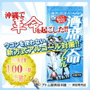 酒席革命（1包 2粒×2）【二日酔い に ならない 薬 悪酔い 二日酔い対策 悪酔い対策 コメコサノール アルコール分解 米ぬか ダイエット ビール酵母】