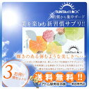 【あす楽!送料無料!】サンタンブロック 10粒 3個セット!...