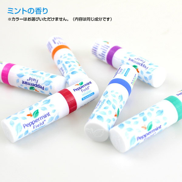 【あす楽！送料無料！】タイ ヤードム ペパーミントフィールド ミント＆オレンジ 2種類セット！【スースー 鼻スースー 鼻すーすー アロマスティック メンソール スティック ミント アロマオイル タイ雑貨 アジアン雑貨 ヤードン ペパーミント フィールド 2本 2個】