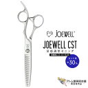 送料無料!joewell ジョーウェル セニングシザーズ CST-25/30F(カット率約30%)量感調整セニング シザー スキ 梳き シャギー シャギィ 散髪 ハサミ 高級はさみ カット 切れ味抜群 プロ仕様 美容 理容 美容師 理容師 バーバー サロン専売 美容専売 東光舎