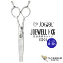 送料無料!joewell ジョーウェル セニングシザーズ HXG-20(カット率15~20%)質感調整セニング シザー スキ 梳き シャギー シャギィ 散髪 ハサミ 高級はさみ カット 切れ味抜群 プロ仕様 美容 理容 美容師 理容師 バーバー サロン専売 美容専売 東光舎(4)