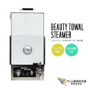 ビューティー タオルスチーマー 卓上型 コンパクト タオル蒸し器 タオルウォーマー 業務用 大容量保温器 おしぼりウォーマー タオル約70本 おしぼり入れ ホットボックス タオル 保温器 ヒーター 電気式タオル蒸し器