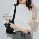 ハイネック 半袖 カットソー Tシャツ トップス 着回し 体系カバー レディース 大きいサイズ レビュー特典あり
