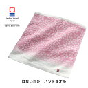【ポイント5倍】 今治タオル はないかだ ウォッシュタオル ハンドタオル 日本製 夏 吸水 綿100% ギフト お中元 敬老の日 母の日 父の日 内祝い 景品 ...