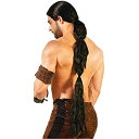 【中古】【輸入品・未使用】Forum Novelties 中世の戦士長いかつらメンズ 標準 黒 標準