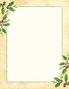 【中古】【輸入品・未使用】GREAT papers 。Falling Holly # 10封筒、9.5?