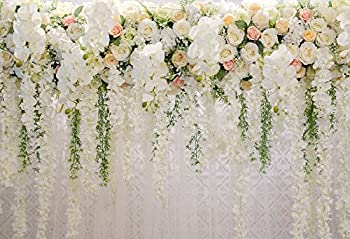 ランキング1位受賞 輸入品 未使用未開封 Huayiウェディング背景写真背景ベビーシャワーカーテン花foralデコレーションデザートテーブルblush Backdrop お洒落無限大 Admodes Com ランキング1位受賞 輸入品 未使用未開封 Huayiウェディング背景写真背景ベビーシャワーカーテン花foralデコレーションデザートテーブルblush Backdrop お洒落無限大 Admodes Com