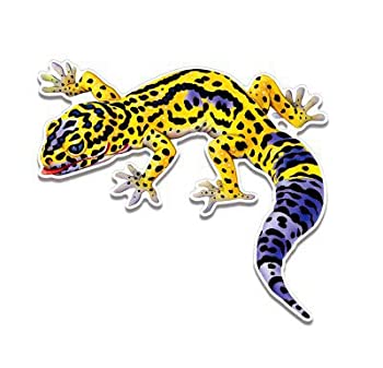 yÁzyAiEgpzLeopard GeckoJt???rj[XebJ[hfJ[