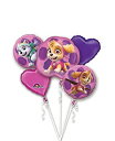 【中古】【輸入品 未使用】Paw Patrol Girls Pup Skye and Everest Foil Balloons Birthday Party Supplies (5 Piece Bouquet)