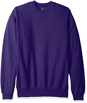 yÁzyAiEgpzHanes Men's EcoSmart Fleece Sweatshirt Purple X Large