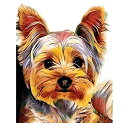 【中古】【輸入品・未使用】KTHOFCY 5D DIY ダイヤモンド絵画キット 大人 子供 犬 フルドリル 刺繍 クロスステッチ クリスタル ラインストーン 絵...