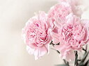 【中古】【輸入品・未使用】花 ピンク カーネーション フローラル キッチン ガラス カッティングボード 装飾 ギフト ママ デザイン
