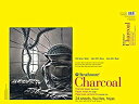 【中古】【輸入品・未使用】(46cm x 60cm 24 Sheets) - Strathmore 300 Series Charcoal Pad White ...