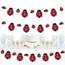 【中古】【輸入品・未使用】Big Dot of Happiness Happy Little Ladybug ベビーシャワー 誕生日パーティー DIYデコレーション 洗濯ばさみ ガーランド バナー 44ピース(3)
