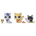 yÁzyAiEgpzLittlest Pet Shop Snowboarding Kitty Crew