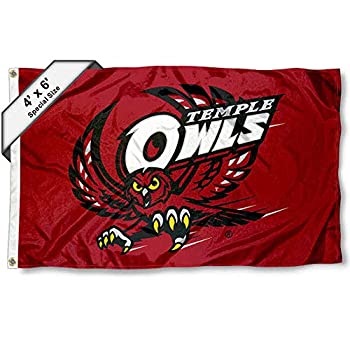 yÁzyAiEgpzTemple Owls 4?' x6?'tO