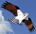 【中古】【輸入品・未使用】Jackite Osprey Kite(3)