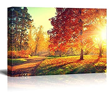Wall26 - キャンバスプリントウォールアート 秋の景色 木と落ち葉 夕焼け | キャンバスカバー Gicleeプリント すぐにかけられる - 12インチ x 18