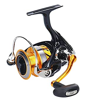 yÁzyAiEgpz_C(Daiwa) XsjO[ 15 uX 2500