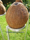 yÁzyAiEgpzPair of coconut shy posts