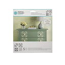 【中古】【輸入品 未使用】Martha Stewart Craftsヴィンテージ装飾ステンシル 33561 Fleur De Lis