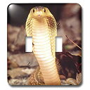 【中古】【輸入品・未使用】3drose LLC lsp _ 83973?_ 2?Formosa島Cobra Snake na02?dno0468?David Northcottダブル切り替えスイッチ(3)