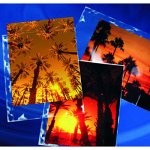 【中古】【輸入品・未使用】Clear File - Archival Photo Print Protectors - 8" X 10" - 25 Pack - 030025B