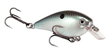 šۡ͢ʡ̤ѡۥȥ饤󥰡STRIKEKING ӥ 󥯥٥ KVD1.0 568_Green_Gizzard_Shad