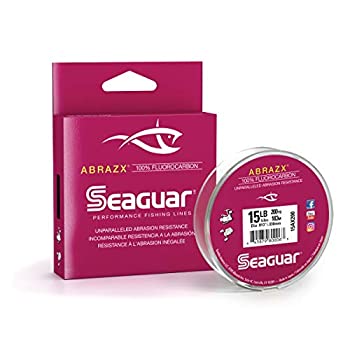 yÁzyAiEgpzSeaguar Abrazx 100tJ[{200[hނ胉Ci8|hj