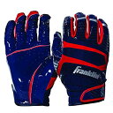 【中古】【輸入品・未使用】Franklinスポーツhi-tackプレミアムFootball Receiver Gloves Youth Large