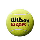 【輸入品・未使用】Wilson 箱入り 全米オープン 特大テニスボール