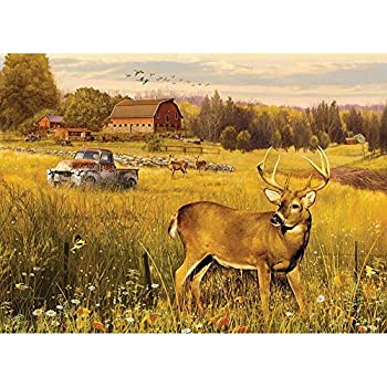 šۡ͢ʡ̤ѡCobble Hill Puzzles Deer Field by Artist Greg Giordano 500 Piece Animals &Wildlife Jigsaw Puzzle [¹͢]