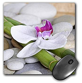 3dRose White Orchid Flower On Green Bamboo Stick with Pebbles Mouse Pad (mp_266533_1) 