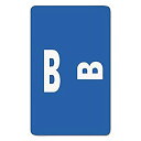 【中古】【輸入品 未使用】Alpha-Z Color-Coded Second Letter Labels Letter B Dark Blue 100/Pack (並行輸入品)