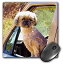 šۡ͢ʡ̤ѡ3dRose Mouse Pad a Sweet Sweater Wearing Shi Tzu Pup Looking Out The Bronco Window 8 x 8' (mp_263364_1) [¹͢]