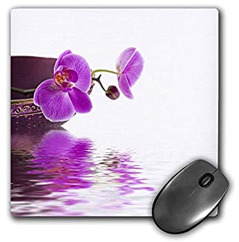 【中古】【輸入品・未使用】3dRose Mouse Pad Orchid Flower Zen Style with Water Photography 8 x 8' (mp_268199_1) [並行輸入品]【メーカー名】3dRose【メーカー型番】【ブランド名】3dRose【商品説明】3dRose Mouse Pad Orchid Flower Zen Style with Water Photography 8 x 8' (mp_268199_1) [並行輸入品]当店では初期不良に限り、商品到着から7日間は返品を 受付けております。映像作品には日本語吹き替え、日本語字幕が無い場合があり、プレーヤーによっては再生できませんので予めご了承ください。こちらは当店海外ショップで一般の方から買取した未使用・品です。通関検査の為、開封されることがございますので予めご了承くださいませ。買取した為、中古扱いとしております。日本語の説明書は付属しておりませんので予めご了承くださいませ。また、輸入商品の為、コンセントの形状が違う、電圧による商品の不動作などは当店では出来かねます。他モールとの併売品の為、完売の際はご連絡致しますのでご了承ください。ご注文からお届けまで1、ご注文⇒ご注文は24時間受け付けております。2、注文確認⇒ご注文後、当店から注文確認メールを送信します。3、当店海外倉庫から当店日本倉庫を経由しお届けしますので10〜30営業日程度でのお届けとなります。4、入金確認⇒前払い決済をご選択の場合、ご入金確認後、配送手配を致します。5、日本国内倉庫到着後、検品し異常がなければ出荷⇒配送準備が整い次第、出荷致します。配送業者、追跡番号等の詳細をメール送信致します。6、日本国内倉庫到着⇒出荷後、1〜3日後に商品が到着します。　※離島、北海道、九州、沖縄は遅れる場合がございます。予めご了承下さい。お電話でのお問合せは少人数で運営の為受け付けておりませんので、メールにてお問合せお願い致します。営業時間　月〜金　10:00〜17:00初期不良以外でのお客様都合によるご注文後のキャンセル・返品はお受けしておりませんのでご了承下さい。