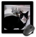 【中古】【輸入品 未使用】3dRose Mouse Pad Cute Black White Tux Cat Curled Up in Sink Photo - 8 by 8-Inches (mp_242428_1) 並行輸入品