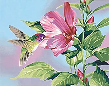 【中古】【輸入品・未使用】Dimensions Needlecrafts Paintworks Paint By Number Hibiscus Hummingbird [並行輸入品]