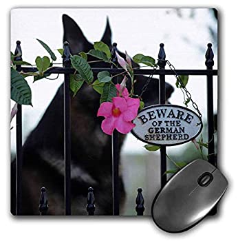 šۡ͢ʡ̤ѡ3dRose Mouse Pad Photograph of German Shepherd with Beware of The German Shepherd Sign. - 8 by 8-Inches (mp_301340_1) [¹͢]