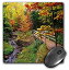 šۡ͢ʡ̤ѡ3dRose Mouse Pad Alger County Michigan - 8 by 8-Inches (mp_61991_1) [¹͢]