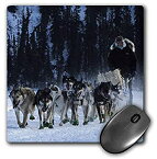 【中古】【輸入品・未使用】3dRose Mouse Pad Yukon Quest Dogs and Musher on The Takhini River - 8 by 8-Inches (mp_13863_1) [並行輸入品]