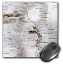 【中古】【輸入品 未使用】3dRose Mouse Pad Birch Bark Photo Nature Tree Photography 8 x 8 039 (mp_266462_1) 並行輸入品